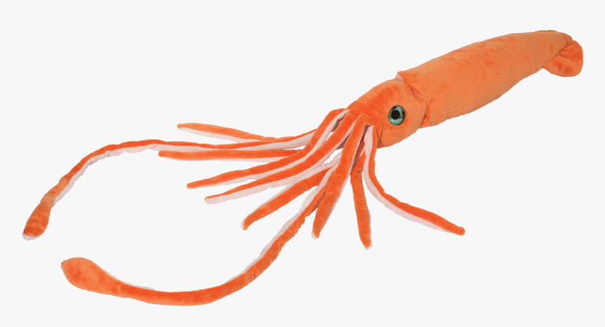 Douglas Jet Stream Squid - Squid Stuffed Animal, HD Png Download