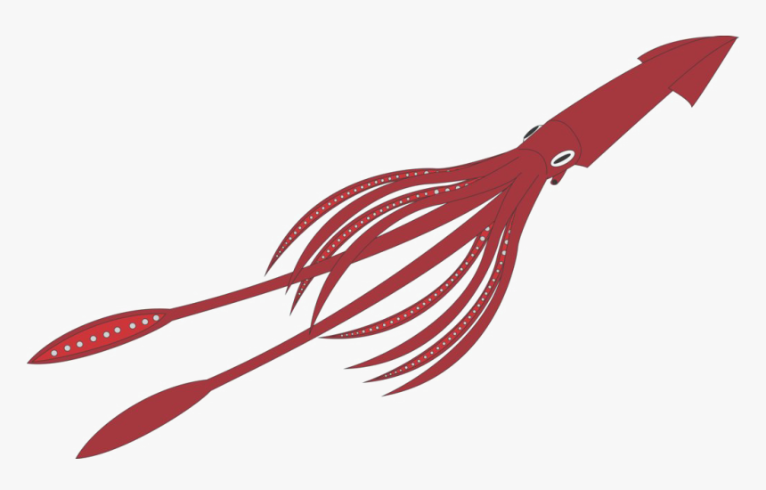 Giant Squid Transparent Background - Giant Squid No Background, HD Png Download