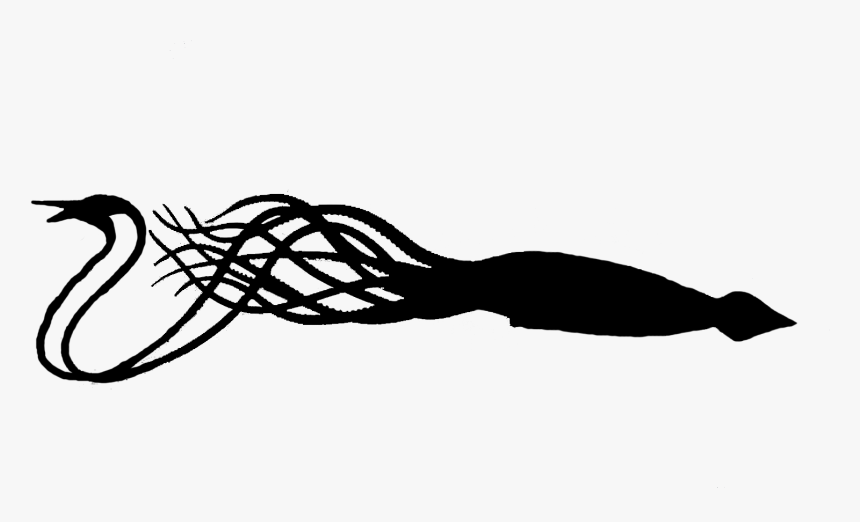 Giant Squid Octopus Clip Art - Silhouette Of A Squid, HD Png Download