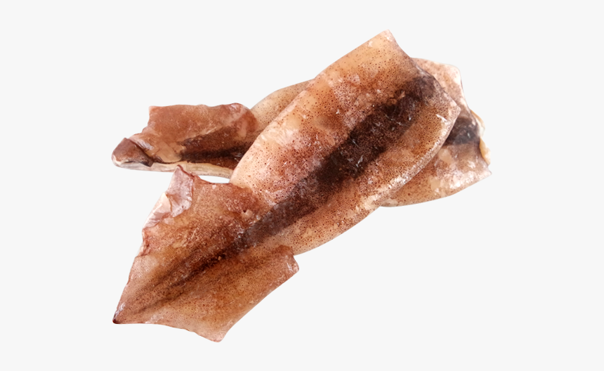 Sotong Png, Transparent Png