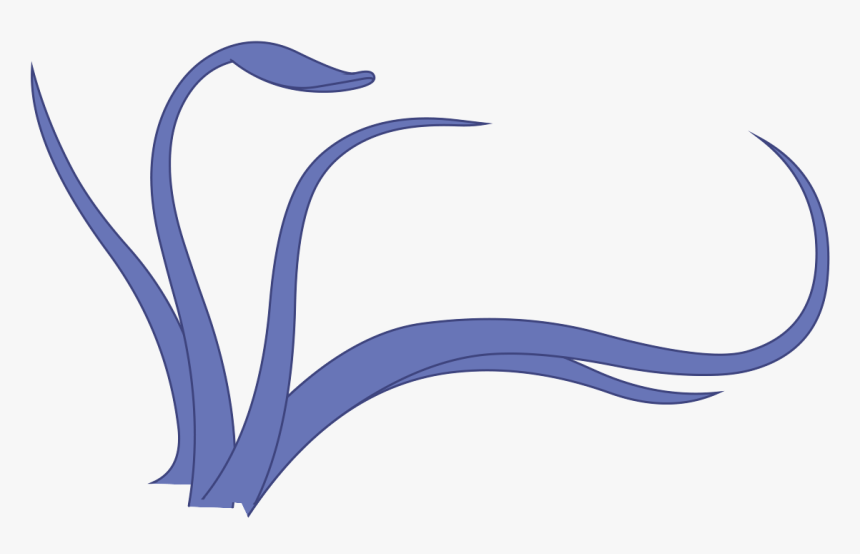 Squid Png - Squid Tentacles Png, Transparent Png