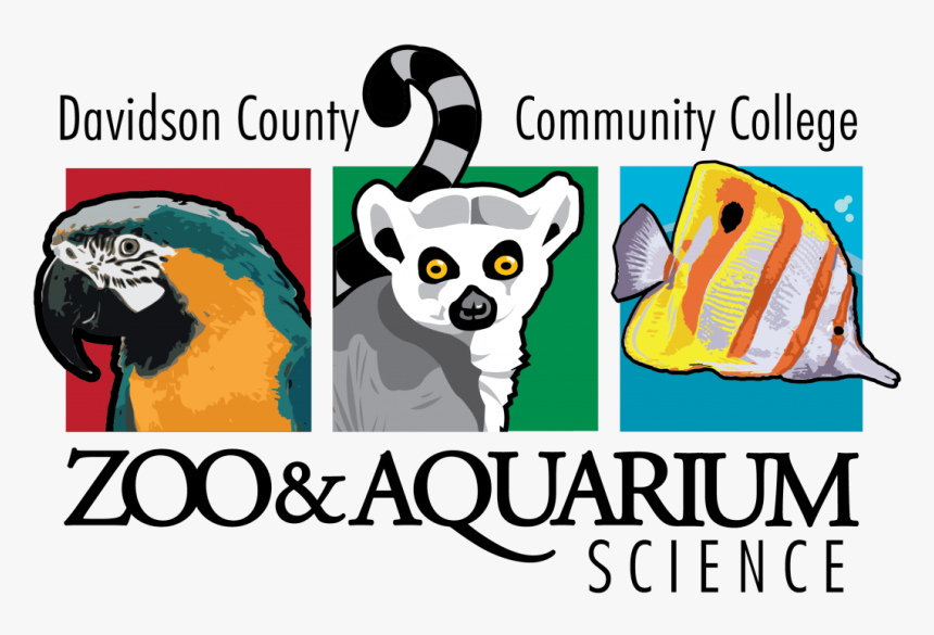 Transparent Suzy Zoo Clipart - Davidson County Community College Zoology, HD Png Download
