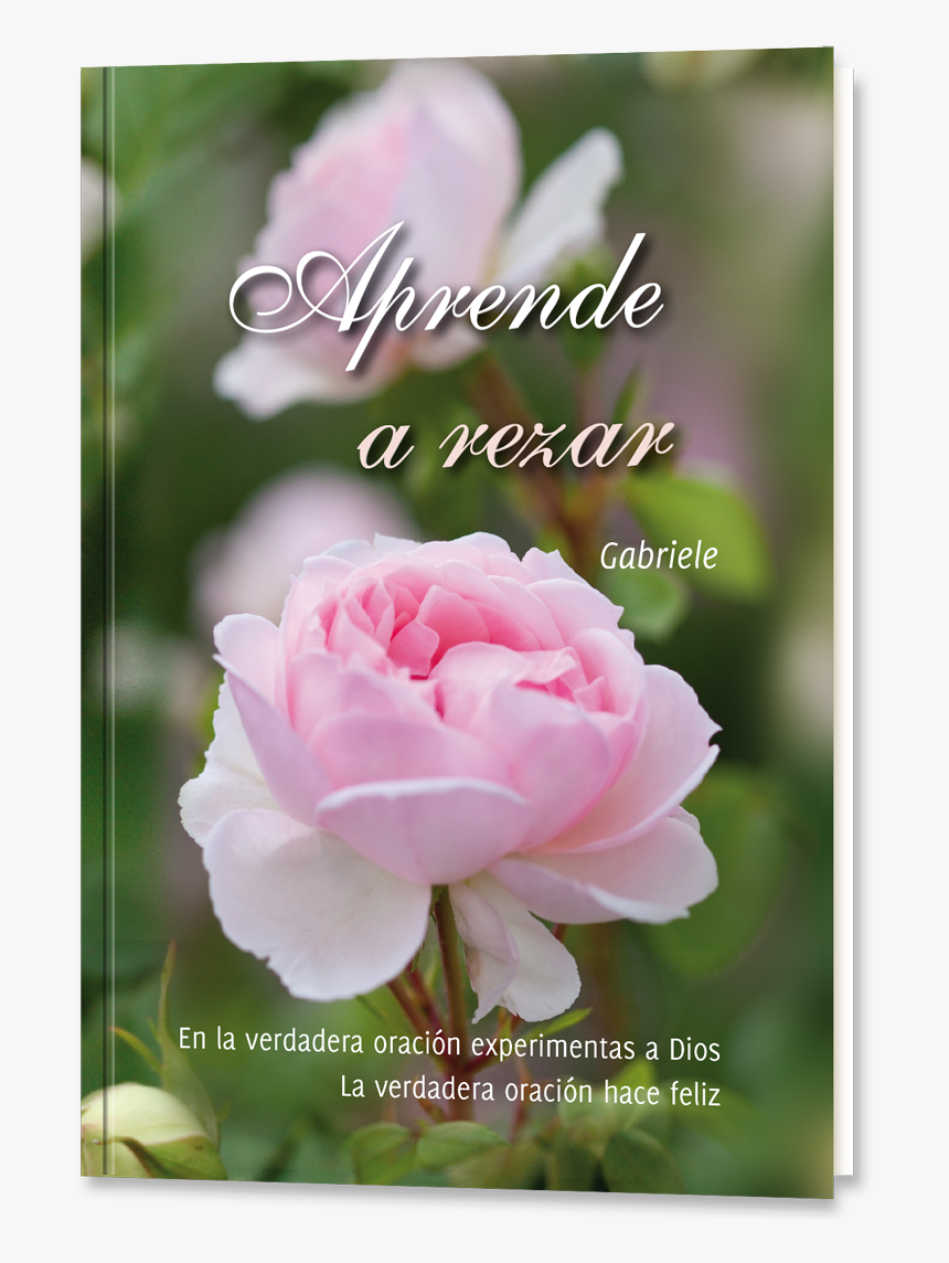 Aprende A Rezar - Rose Us A Medicinal Plant, HD Png Download