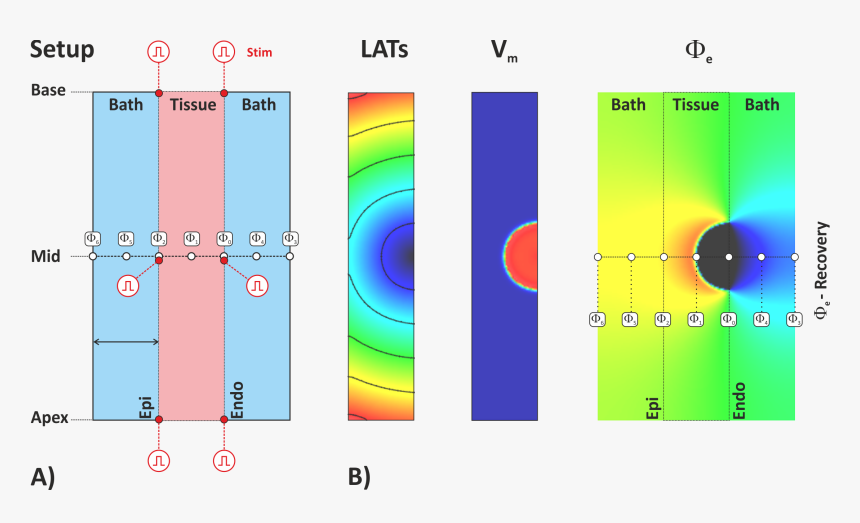 Transparent Ecg Png - Circle, Png Download