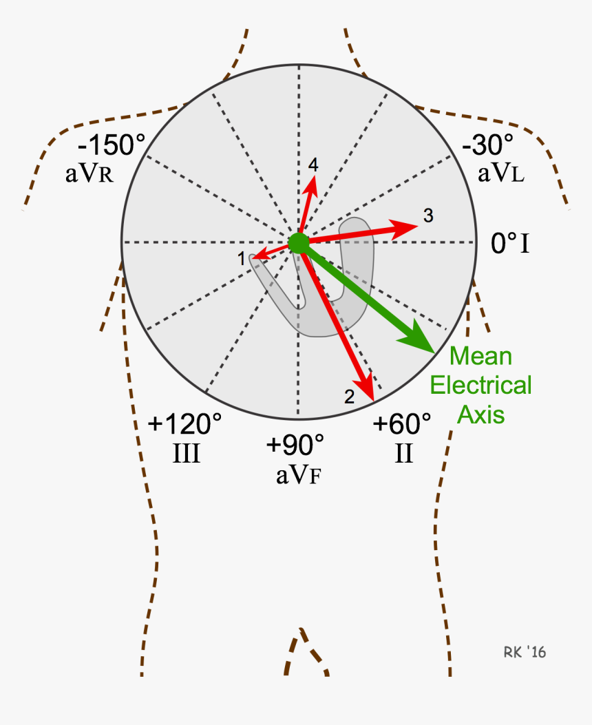 Diagram, HD Png Download