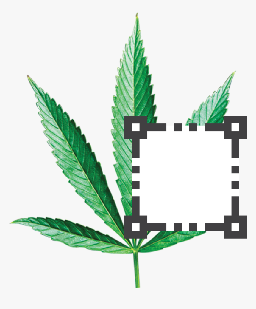 Super Mario Note Block, HD Png Download