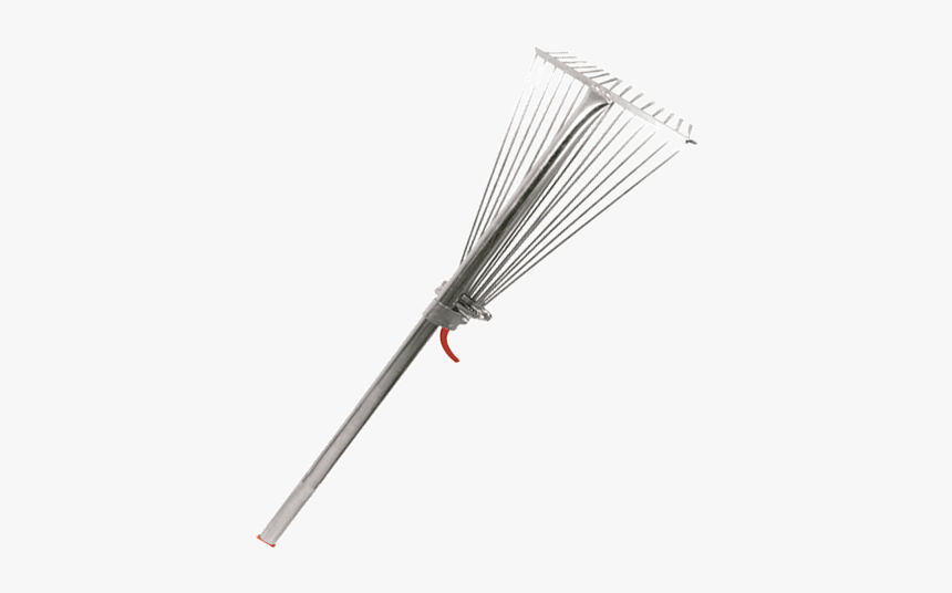 Damselfly, HD Png Download