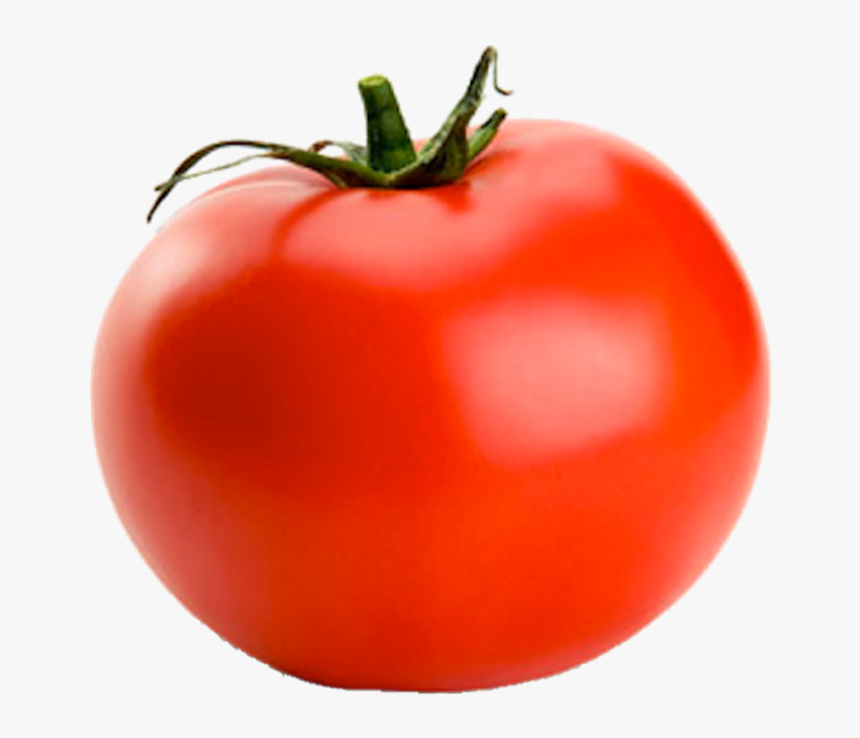 Intelligence Is Knowing A Tomato Is A Fruit D&d, HD Png Download