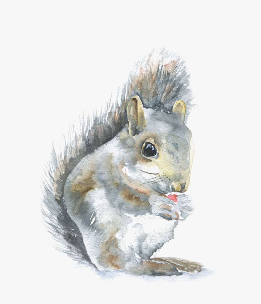 Paintings Of Woodland Animals , Png Download - Susan Windsor Watercolor, Transparent Png