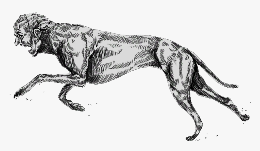 Greyhound Trait Hunt Showdown, HD Png Download