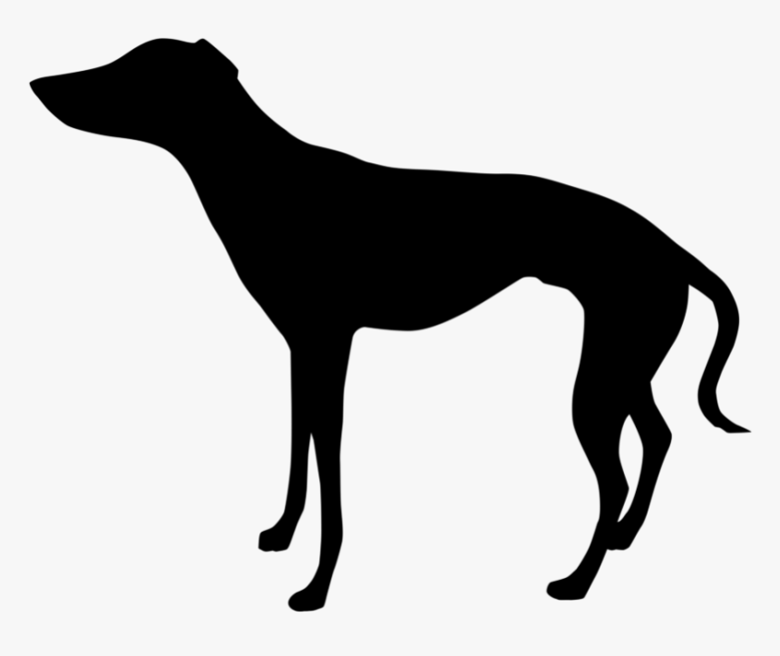 Italian Greyhound Whippet Clip Art Silhouette - Horse Side View Silhouette, HD Png Download