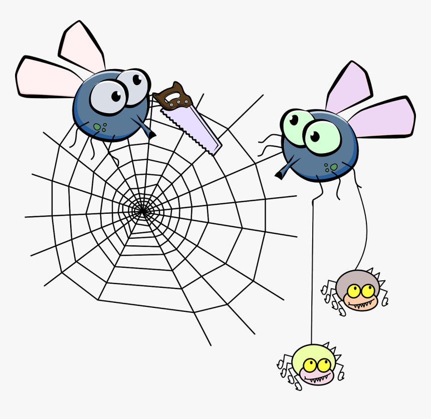 Flies Mosquito Spider Free Photo - Spider Web Png Corner, Transparent Png