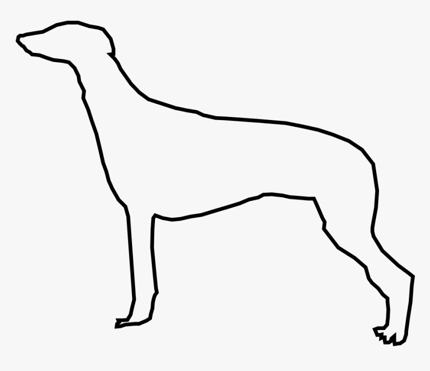 Rampur Greyhound, HD Png Download