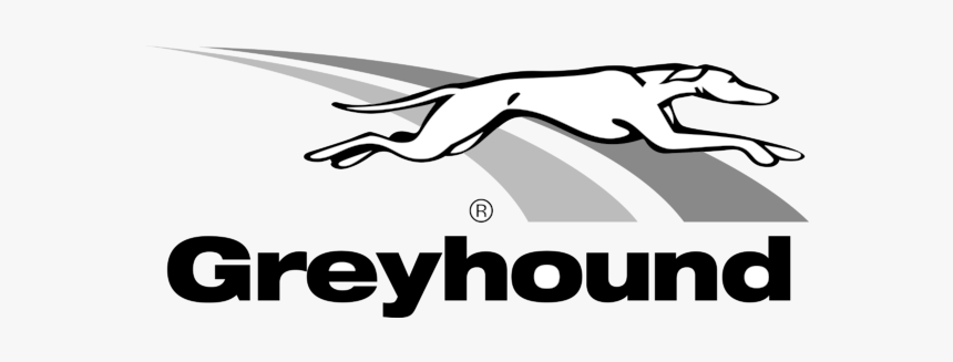 Puma, HD Png Download