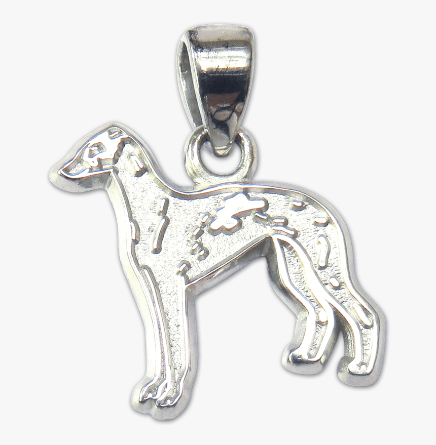 Italian Greyhound Pendant - Whippet, HD Png Download