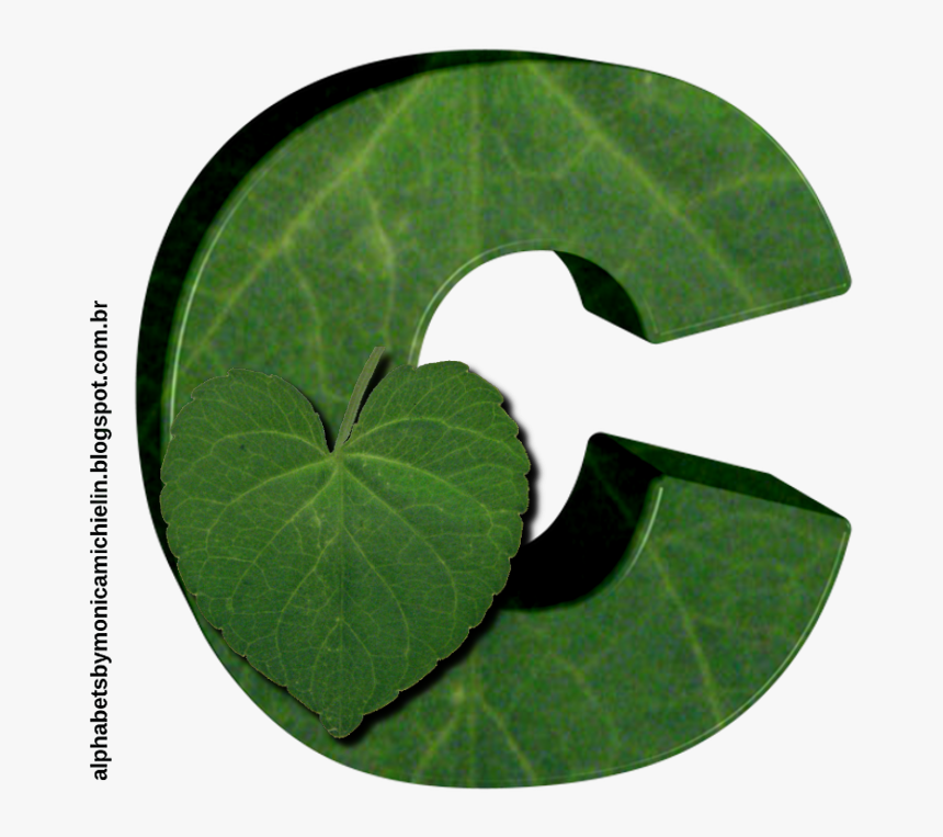 Flower, HD Png Download