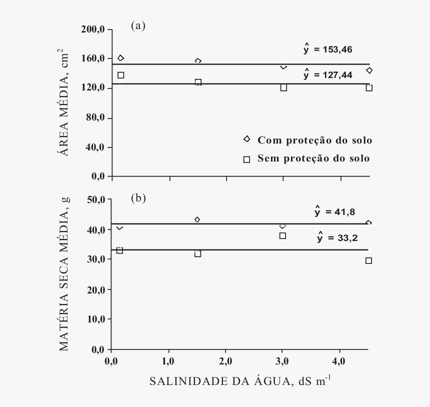 Document, HD Png Download