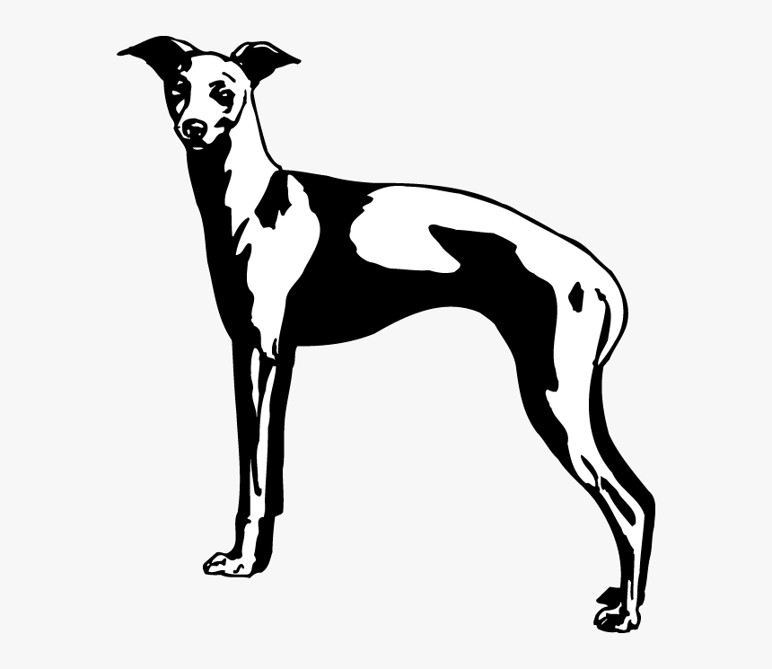Decal Greyhound, HD Png Download