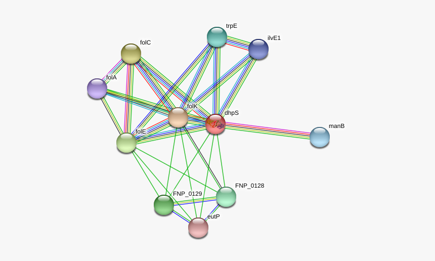 Dhps Protein - Circle, HD Png Download