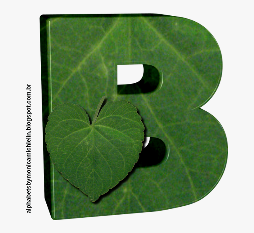 Alismatales, HD Png Download