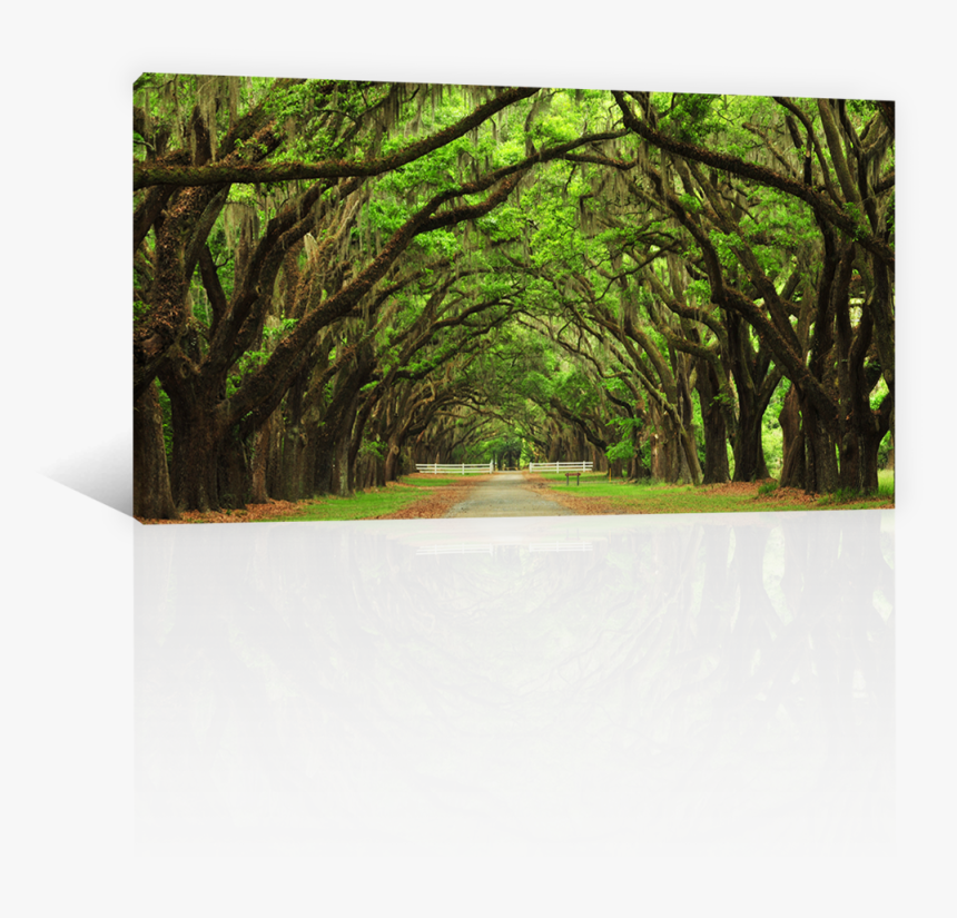 Nieve Cayendo Png, Transparent Png