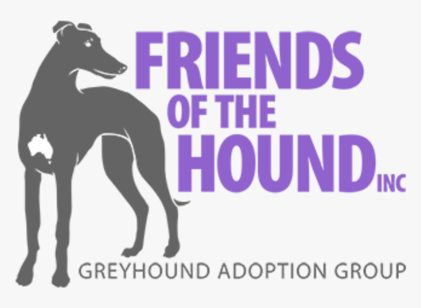 Azawakh - Friends Of The Hounds, HD Png Download