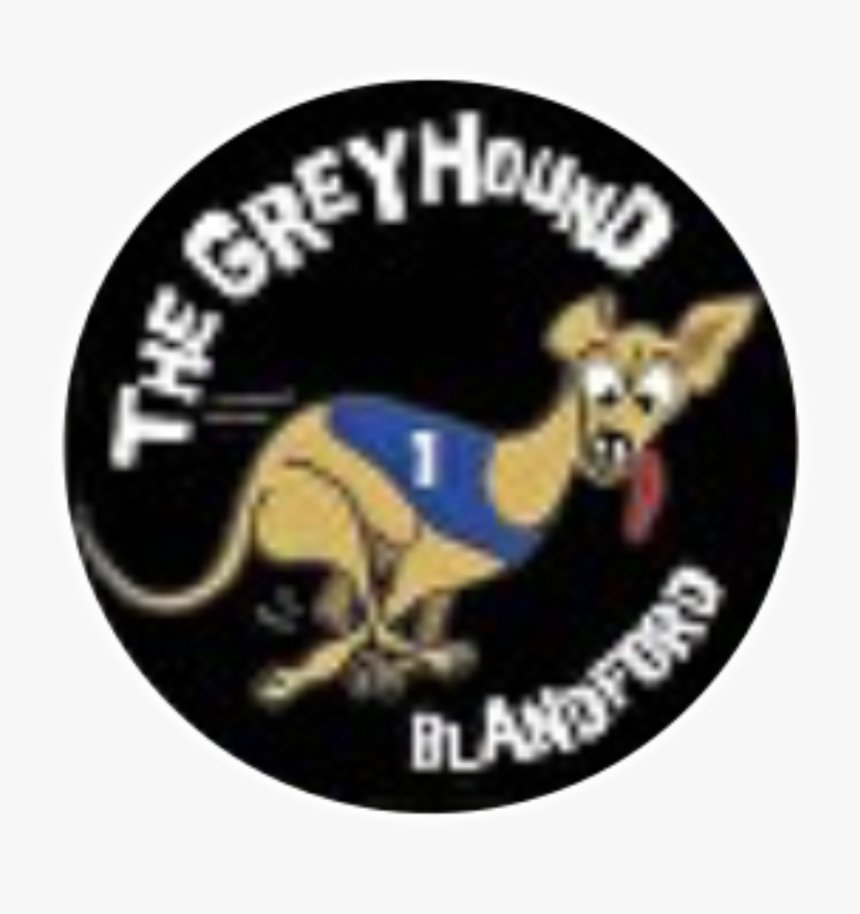 Greyhound Blandford - Coatimundi, HD Png Download