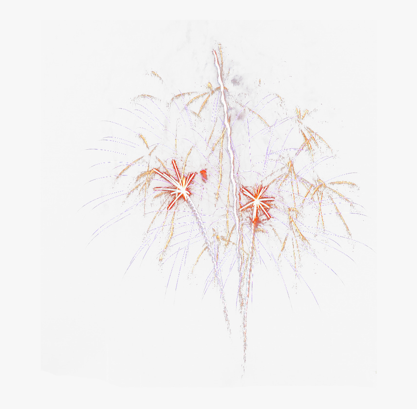 Fireworks, HD Png Download
