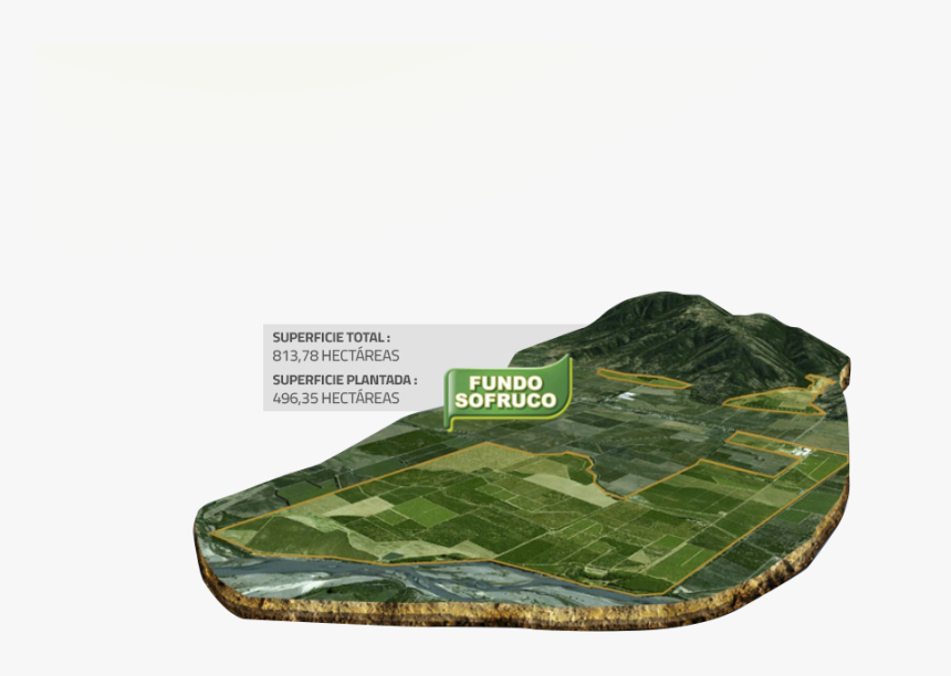 Artificial Turf, HD Png Download