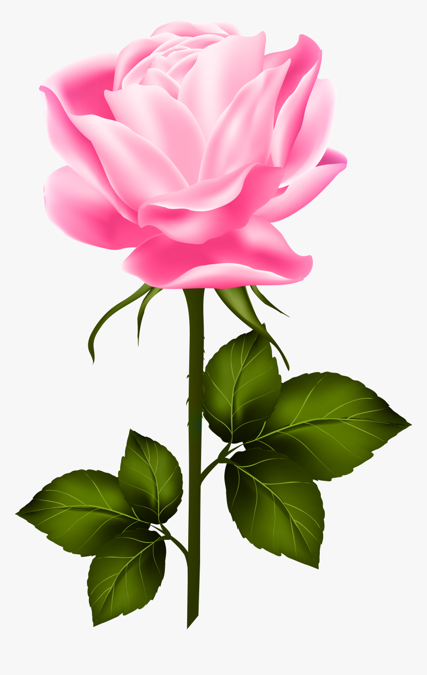 Pink With Stem Png - Purple Rose With Stem, Transparent Png