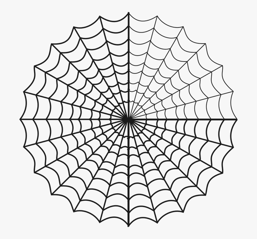 Transparent Free Spider Web Clipart - Big Spider Web Drawing, HD Png Download