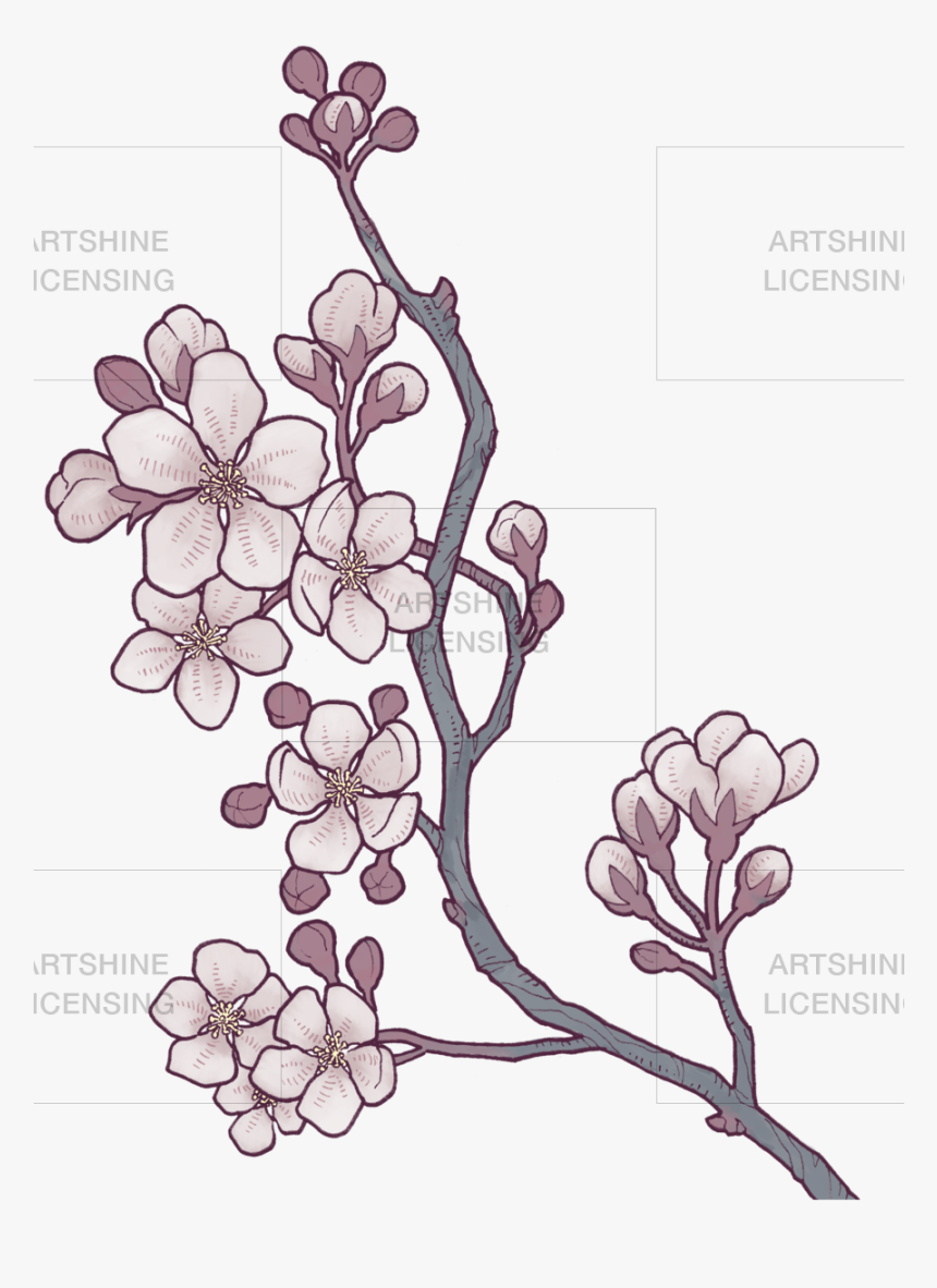 Apple Blossom Branch, HD Png Download