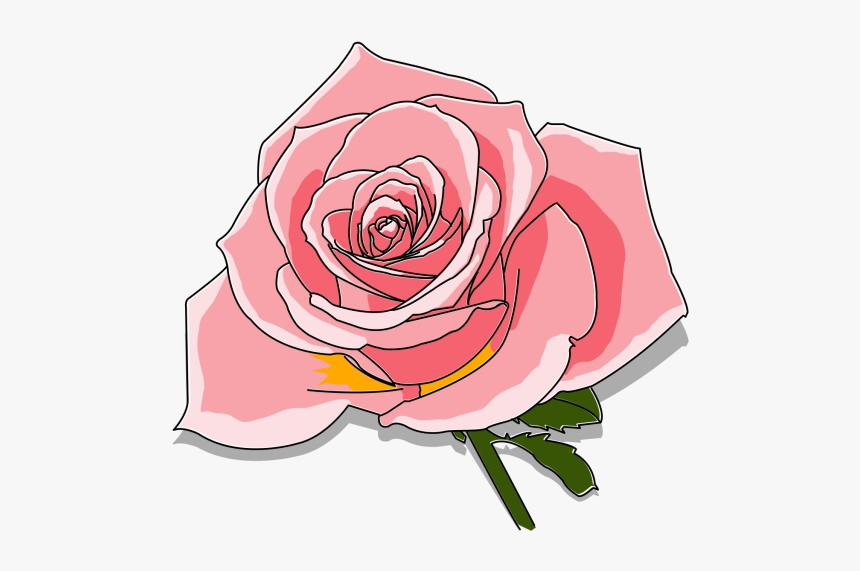 Rose Leaf Close-up Clipart Material Object Close Up - Rose, HD Png Download
