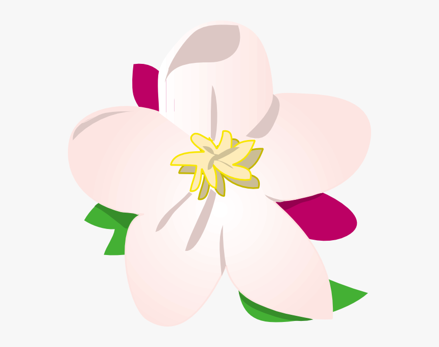 Draw Michigan State Flower, HD Png Download