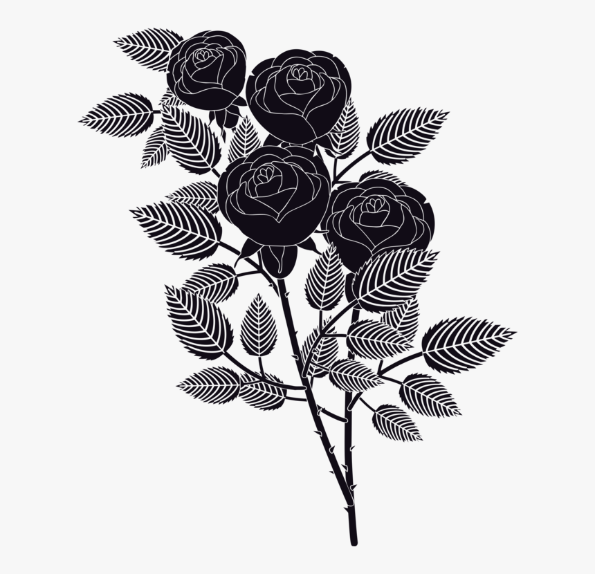 Plant,flora,leaf - Garden Roses, HD Png Download