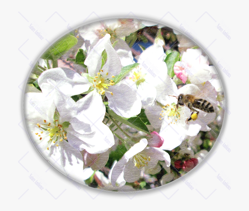 Artificial Flower, HD Png Download