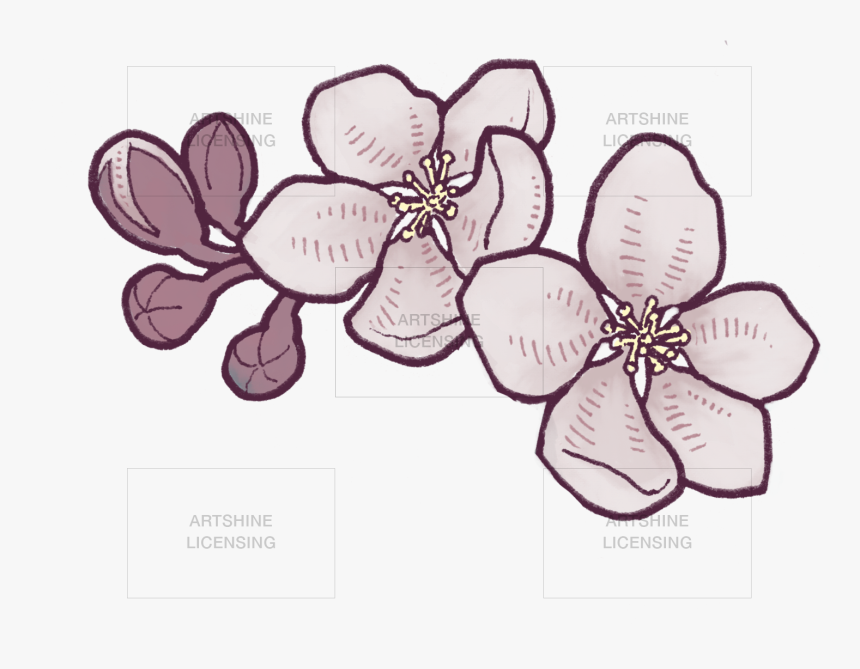 Apple Blossom Branch, HD Png Download