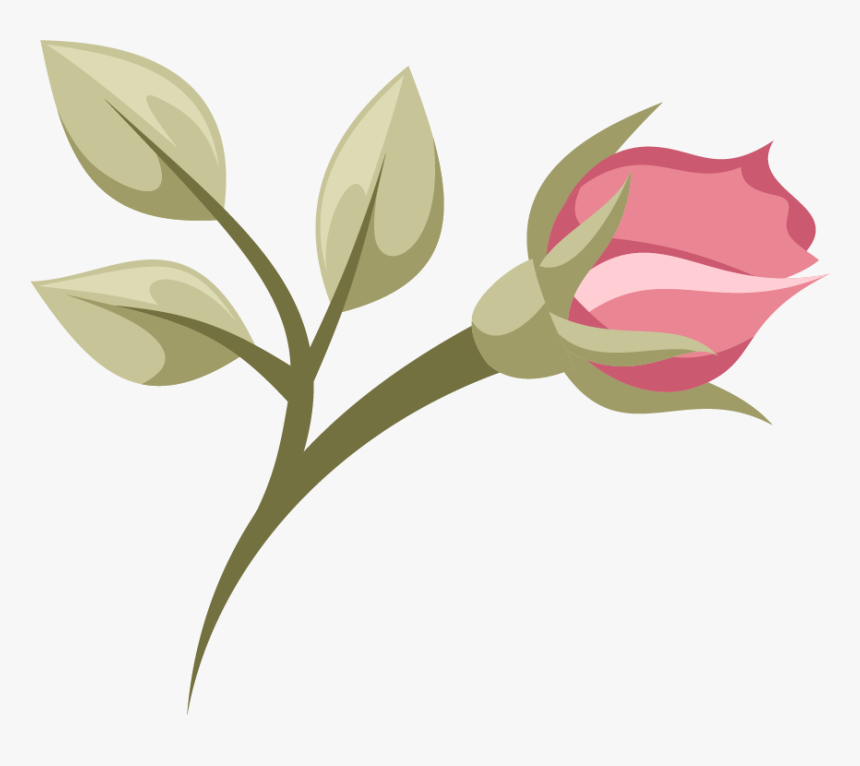 Garden Roses, HD Png Download
