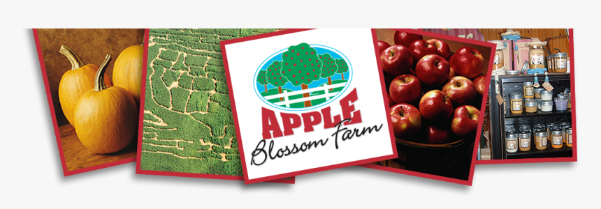 Mcintosh, HD Png Download