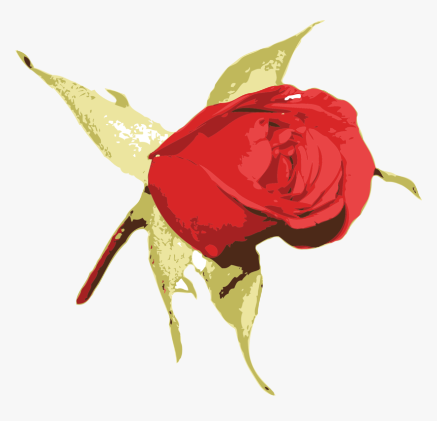 Plant,flower,leaf - Rose, HD Png Download