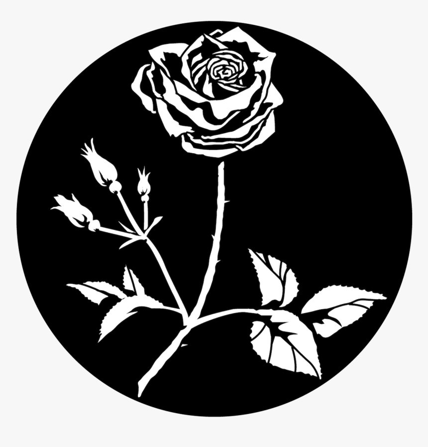 Transparent Rose Leaf Png - Stage Lighting, Png Download