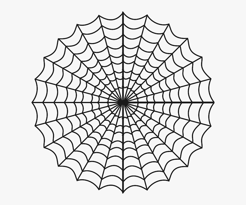 Spider Web Coloring Page, HD Png Download