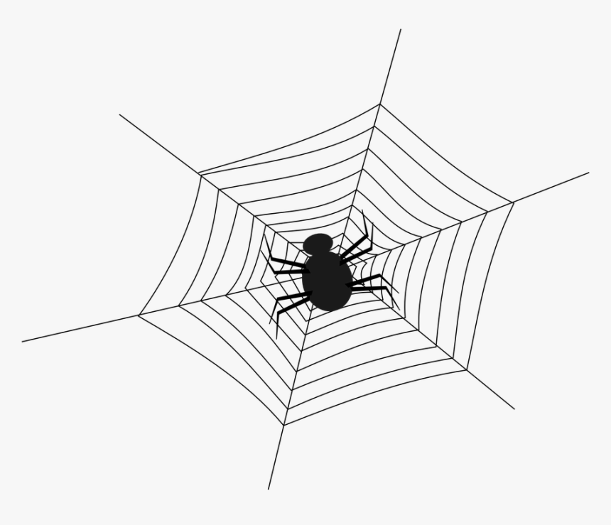 Cobweb, Spider, Spiderweb, Spider S Web, Web, Net - Spider In The Web, HD Png Download