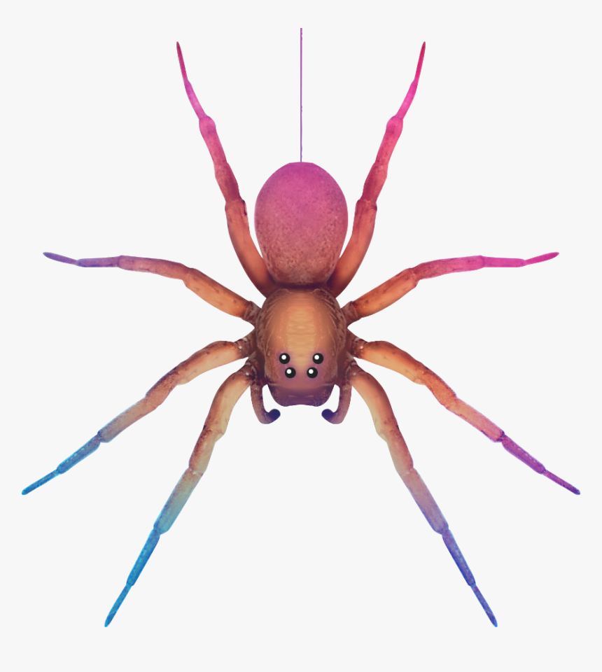 Pink Spider Transparent Clipart, HD Png Download