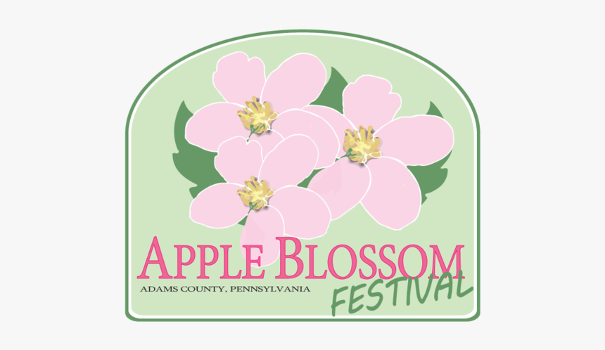 Journée Internationale De La Femme, HD Png Download