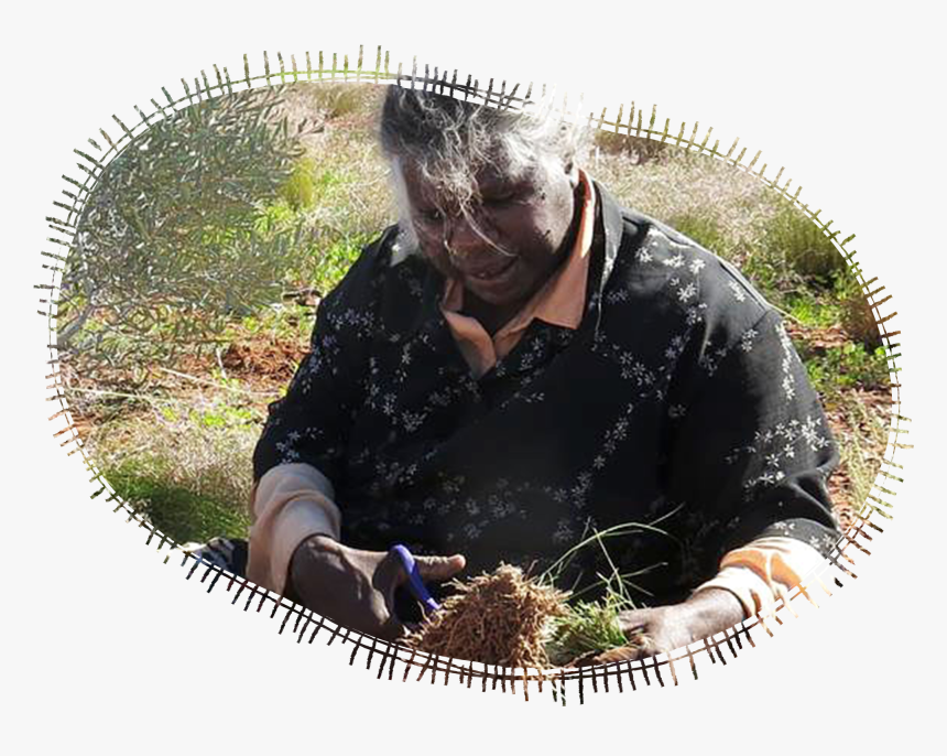 Grass, HD Png Download