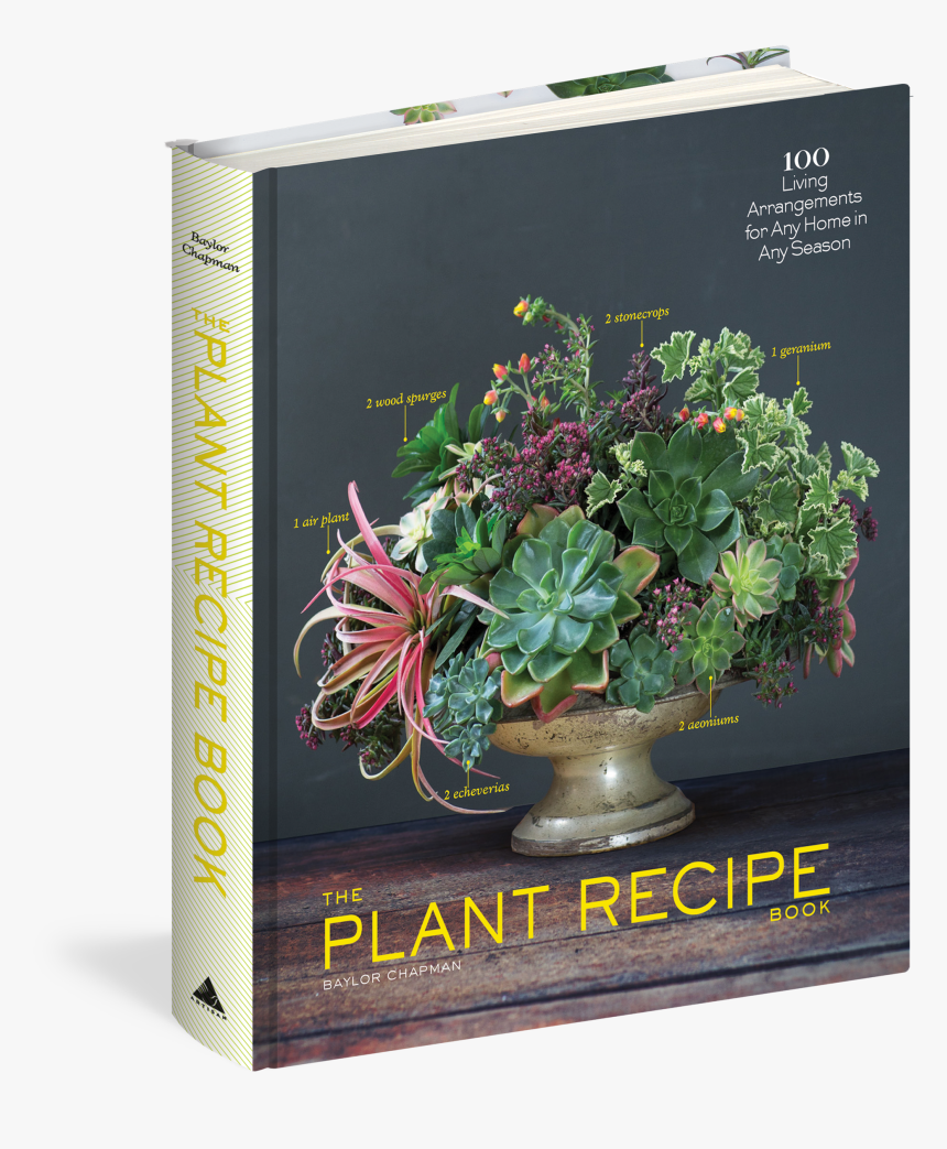 Cover - The Plant Recipe Book: 100 Living Arrangements For, HD Png Download