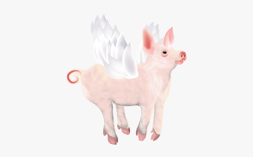 Domestic Pig, HD Png Download