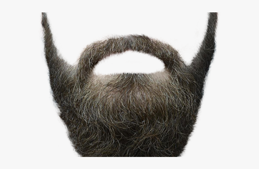 Moustache Png Transparent Images - Beard Png Transparent Background, Png Download