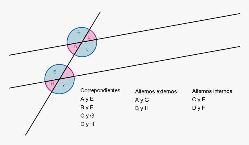 Transparent Lineas Rectas Png - Angulos Internos Entre Paralelas, Png Download